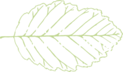 Alderwood Massage Therapy